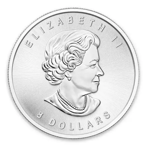 2015 1.25oz Canadian Silver Bison (2)